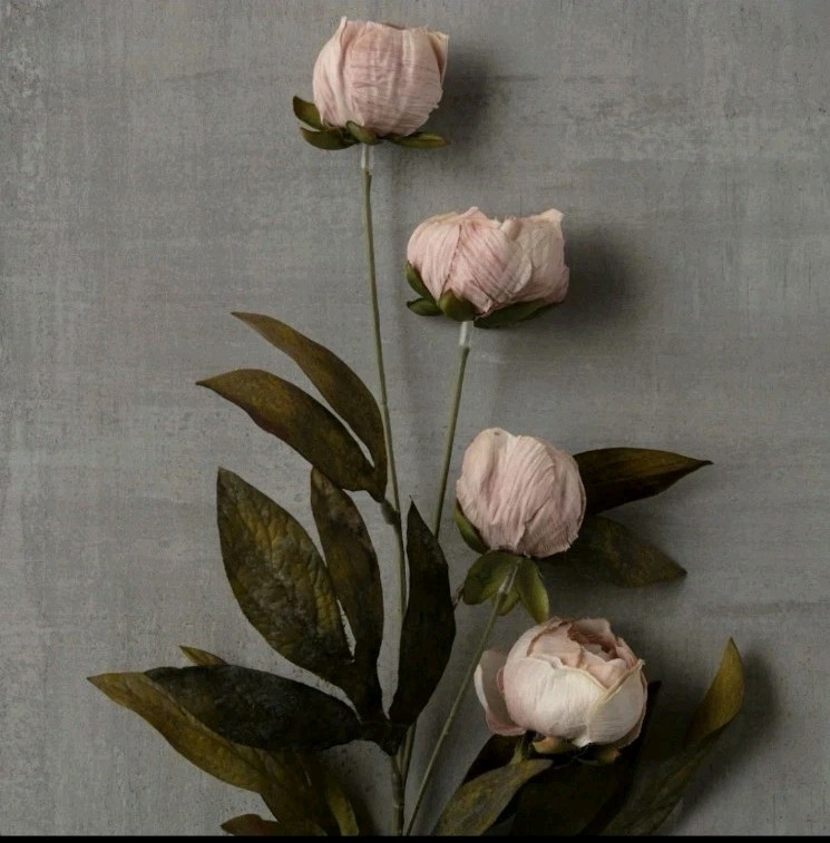 Peony Ashland 12 Stems Tan Peonies Pink Michaels TikTokViral Sold Out 12 Stems