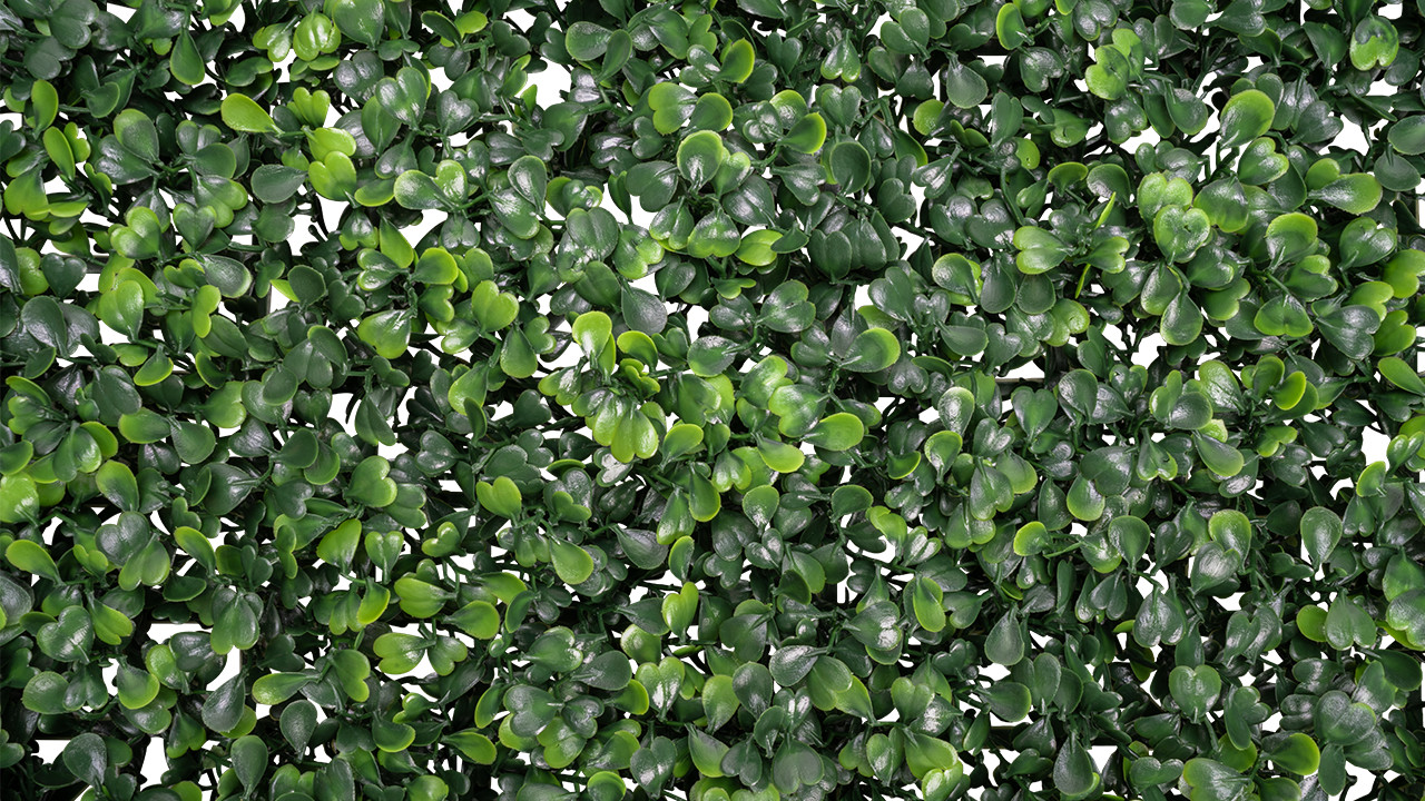 Emerald Artificial Greenery – Artificial Ivy Panel (Box) Boxwood