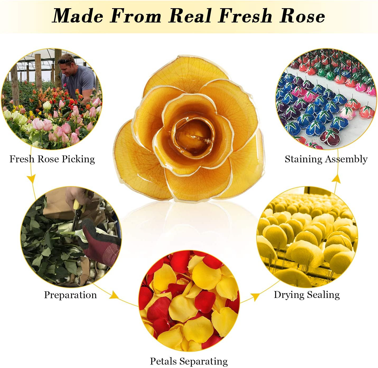 24K Gold Dipped Real Rose W/Rose Stand Forever Blooming Yellow Golden Rose Gift