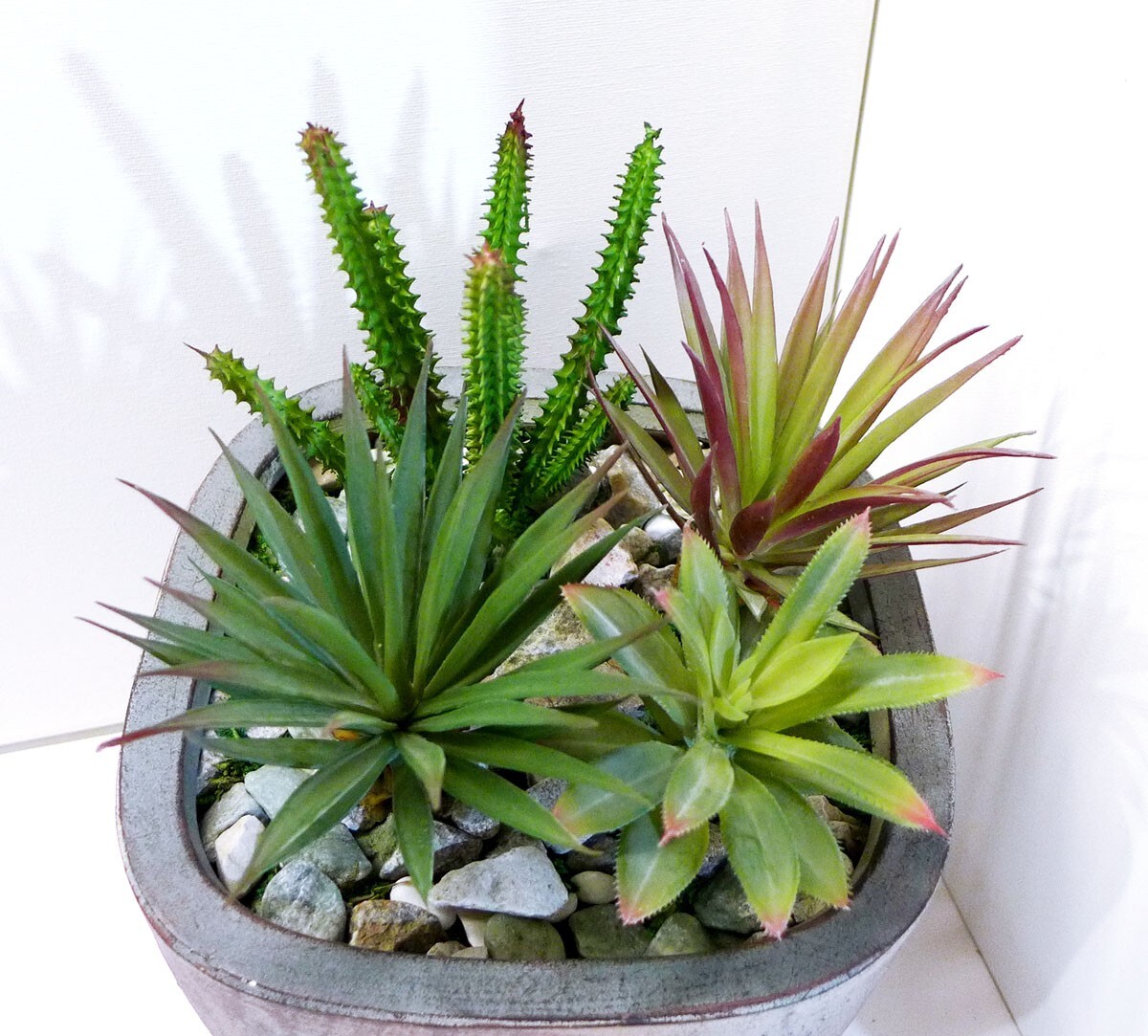 4 Pcs Artificial Plastic Plants Cactus Agaves Succulents (#128) Home Decoration