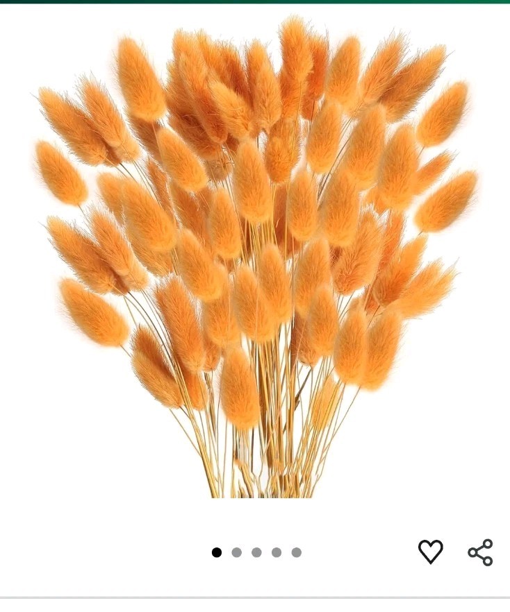 120PCS Orange Bunny Tails Dried Flowers, 17inch Dried Pampas Grass Decor, New
