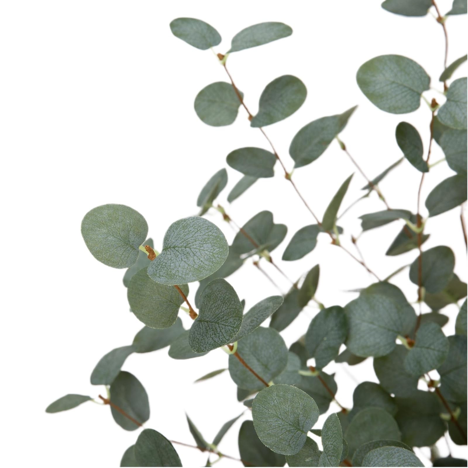 12 Pcs 27″ Eucalyptus Stems Greenery Stems Eucalyptus Leaf Spray in Green Sil…