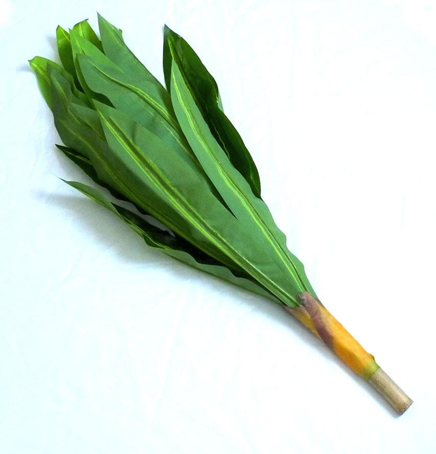 24″ Height Artificial Palm Plant ( No pot) 35 leaves Carnauba Tree