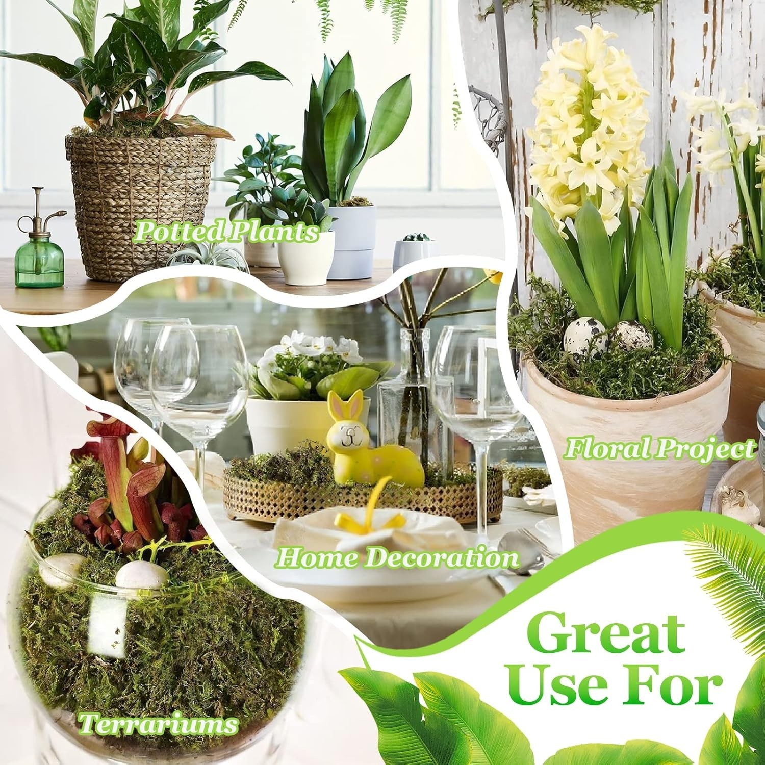Soft and Textured 1.3LB Natural Moss for Fairy Gardens and Floral Displays
