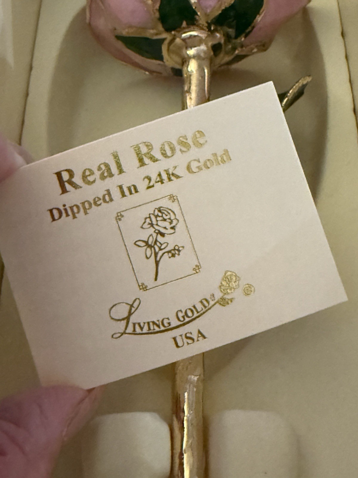 real rose dipped in 24k gold in Plum