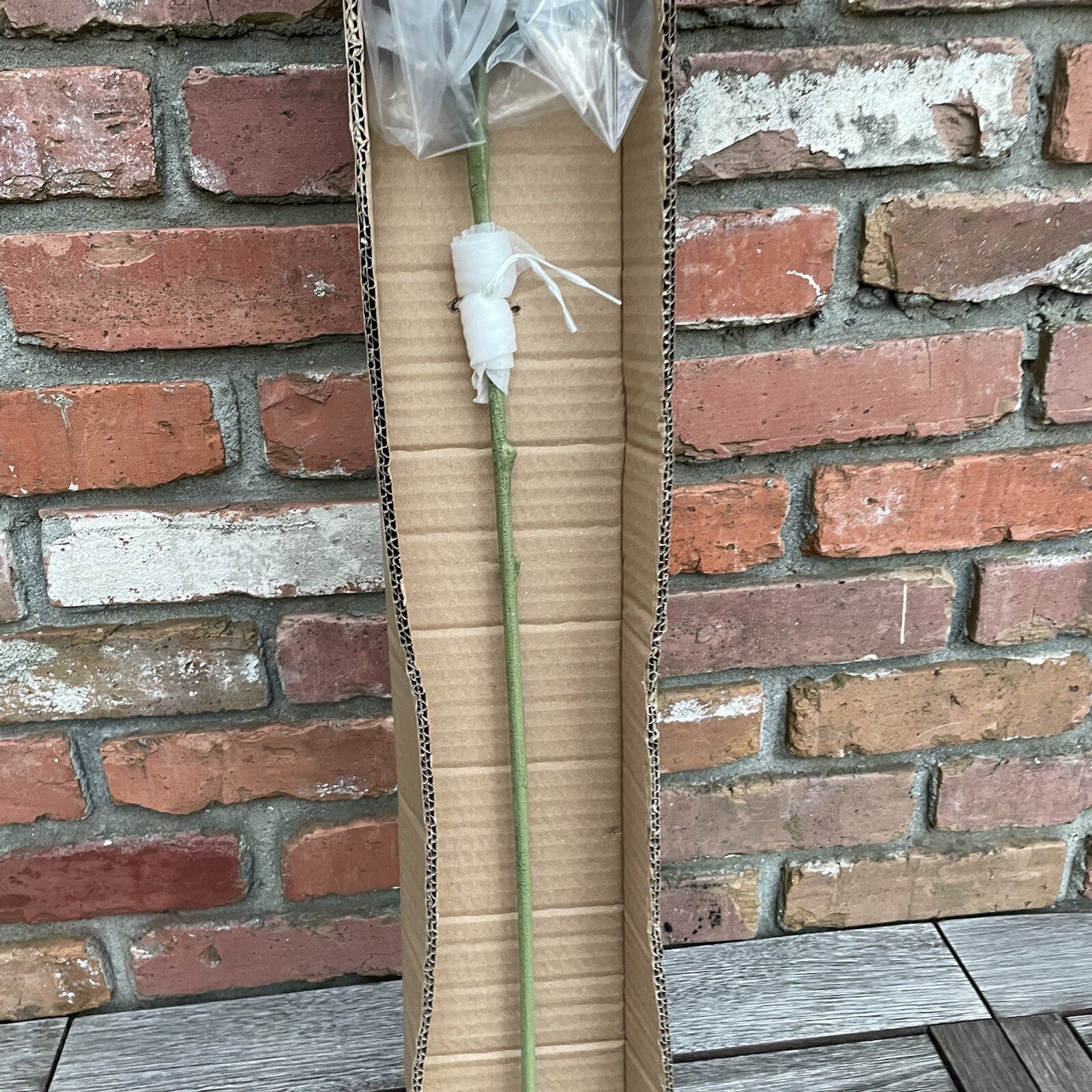 Pottery Barn Faux Decorative Olive Branch (1) Green Large 59” long NIB