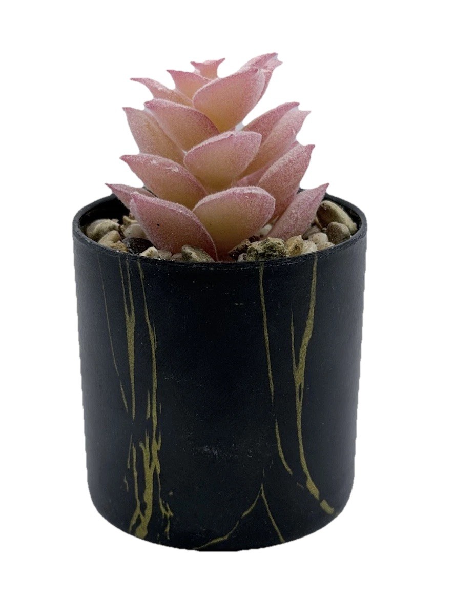 2 pcs Artificial Pink Succulent & Cactus Houseplant, Black Pots 3.5 inch