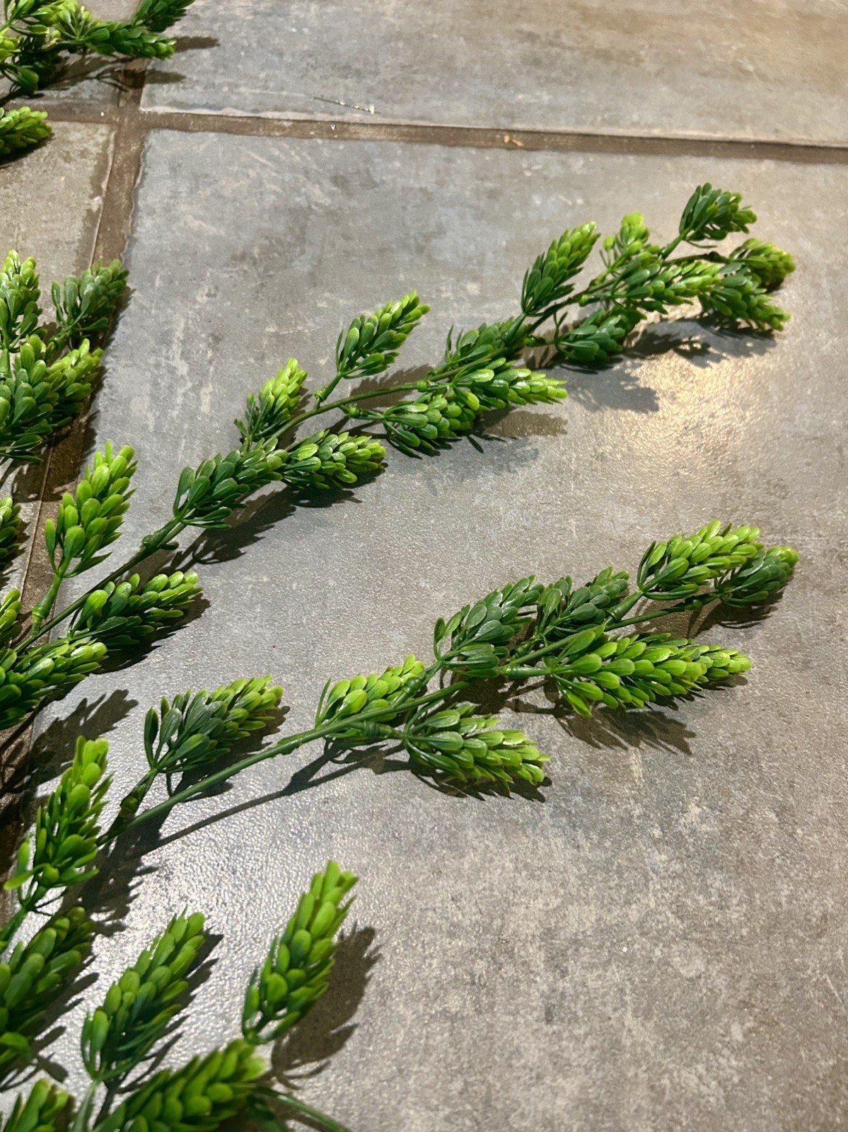 New Primitive Farmhouse BABY TEARS TRAILING STEM Bush Pick Branch Greenery