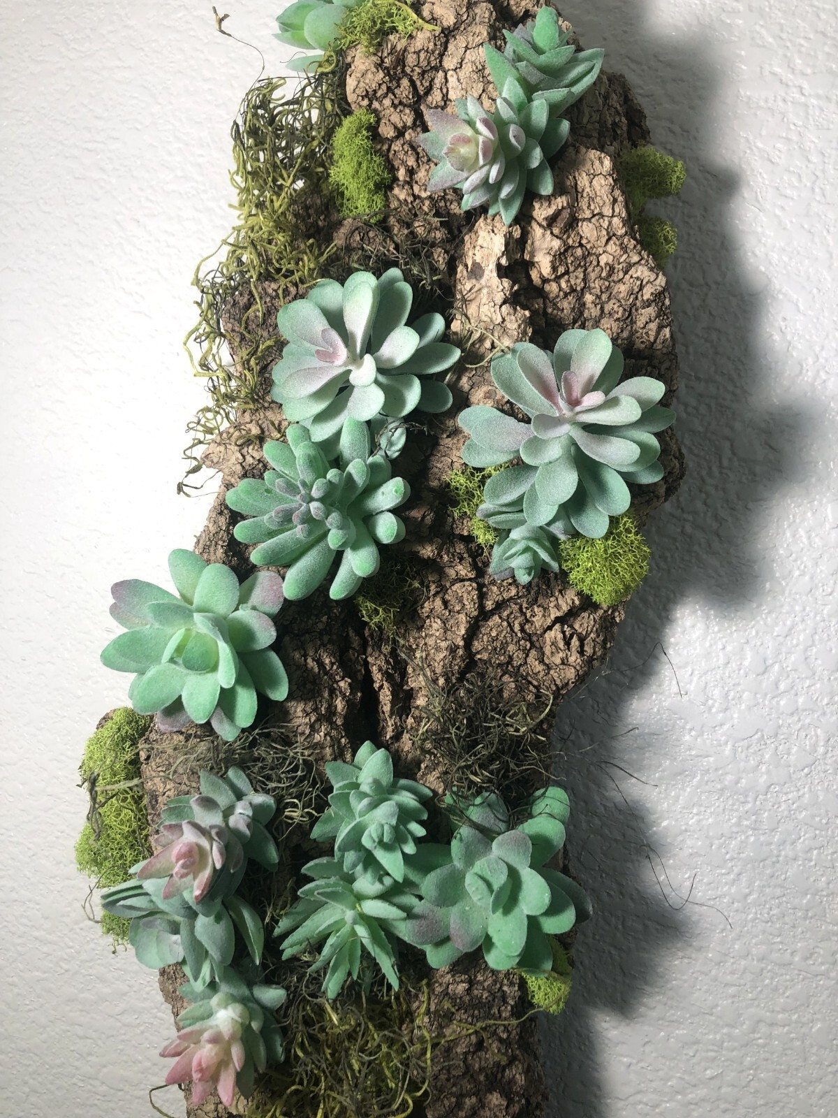 Artificial Succulent Air Plant Wall Art Home Office Mounted on Real Wood Bark