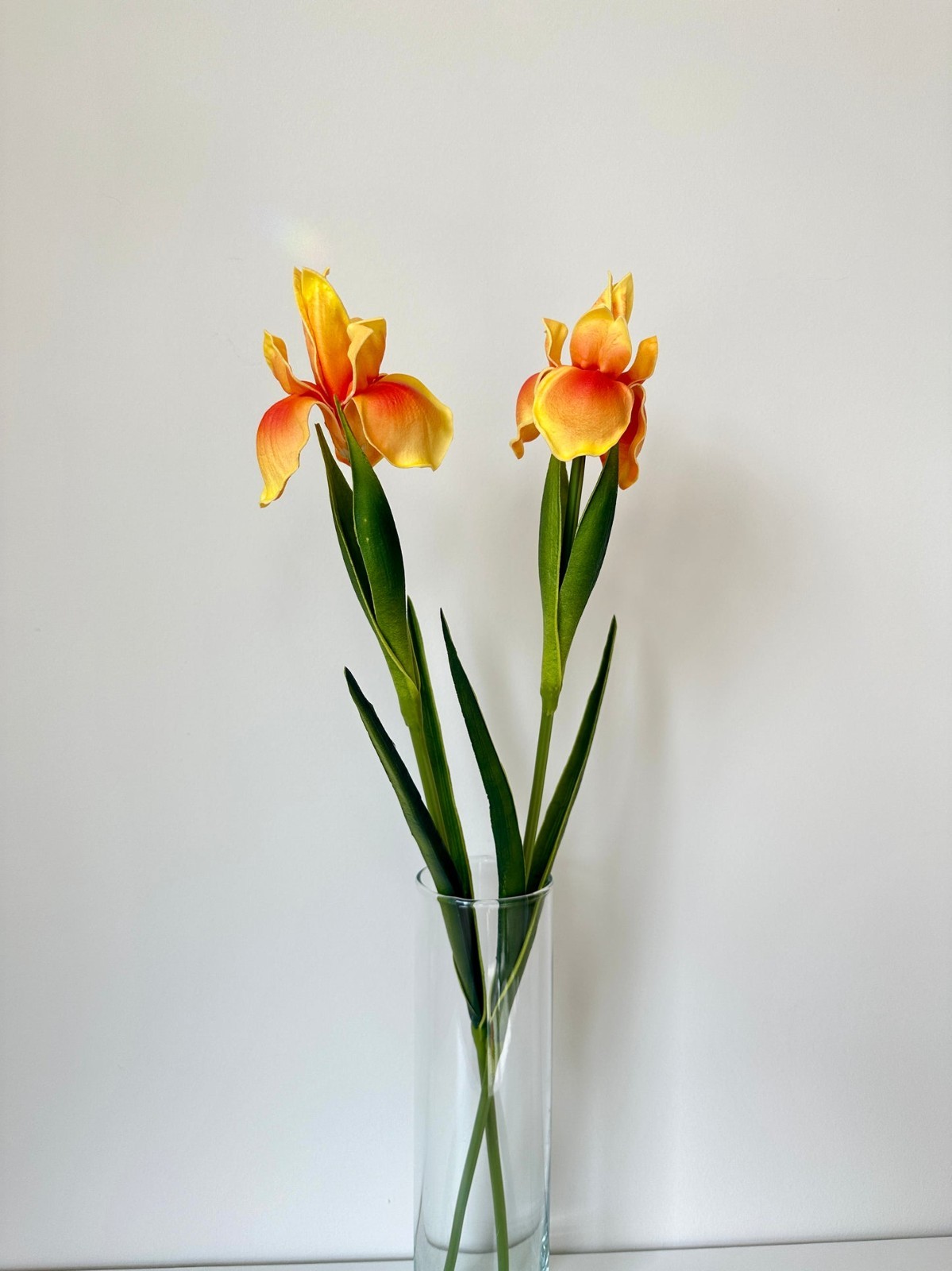 Fake Long Stem Iris Real Touch Artificial Flower (24 Stems)