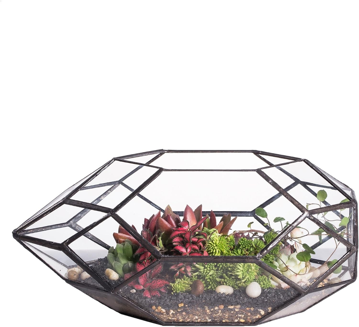 Contemporary 6.5×5.9×11 Glass Terrarium – Perfect for Succulents & Air Plants