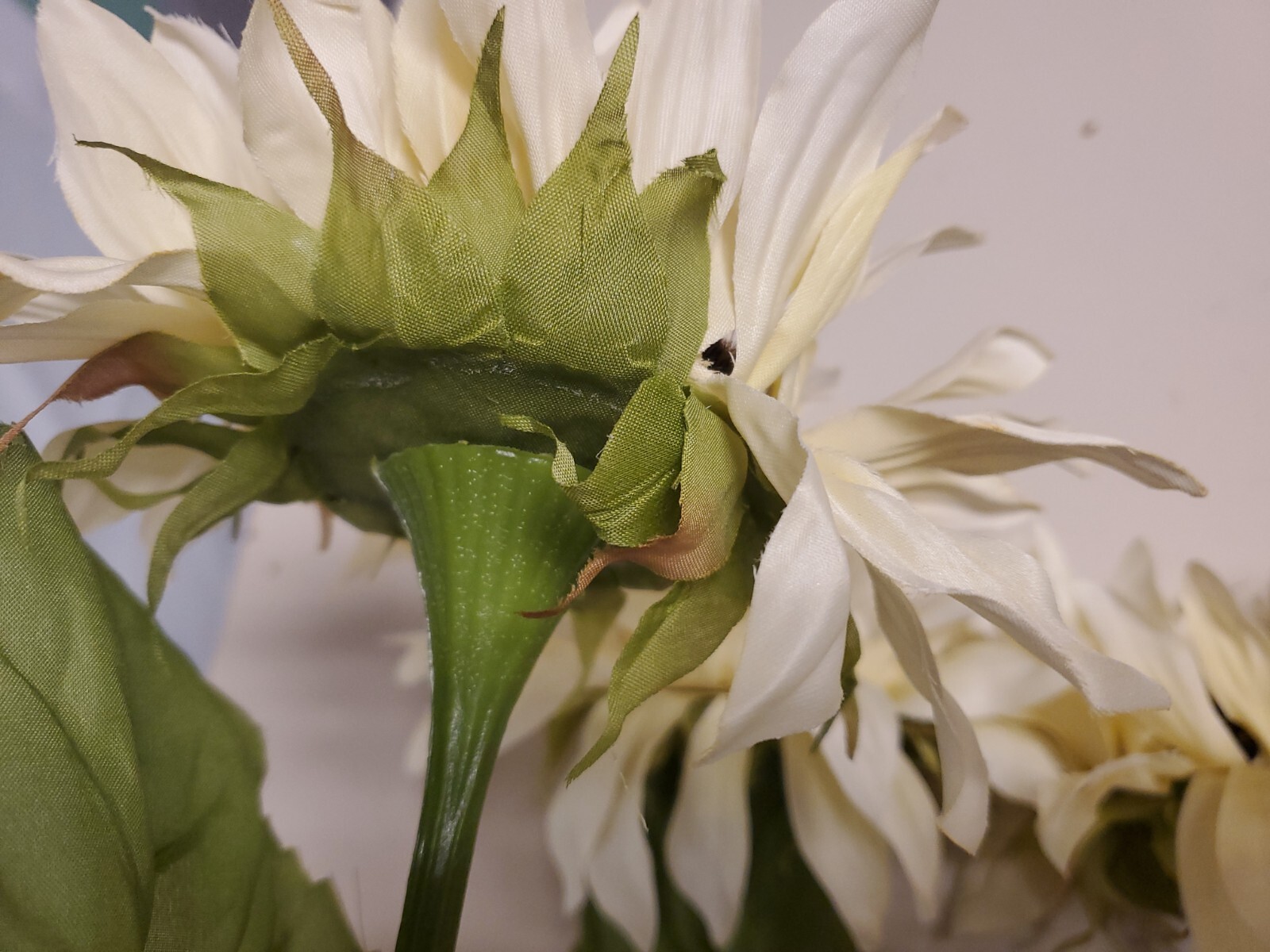 LG Bloom White/Blk Sunflower Stem / Pick 27in High Autumn Fall Summer Floral