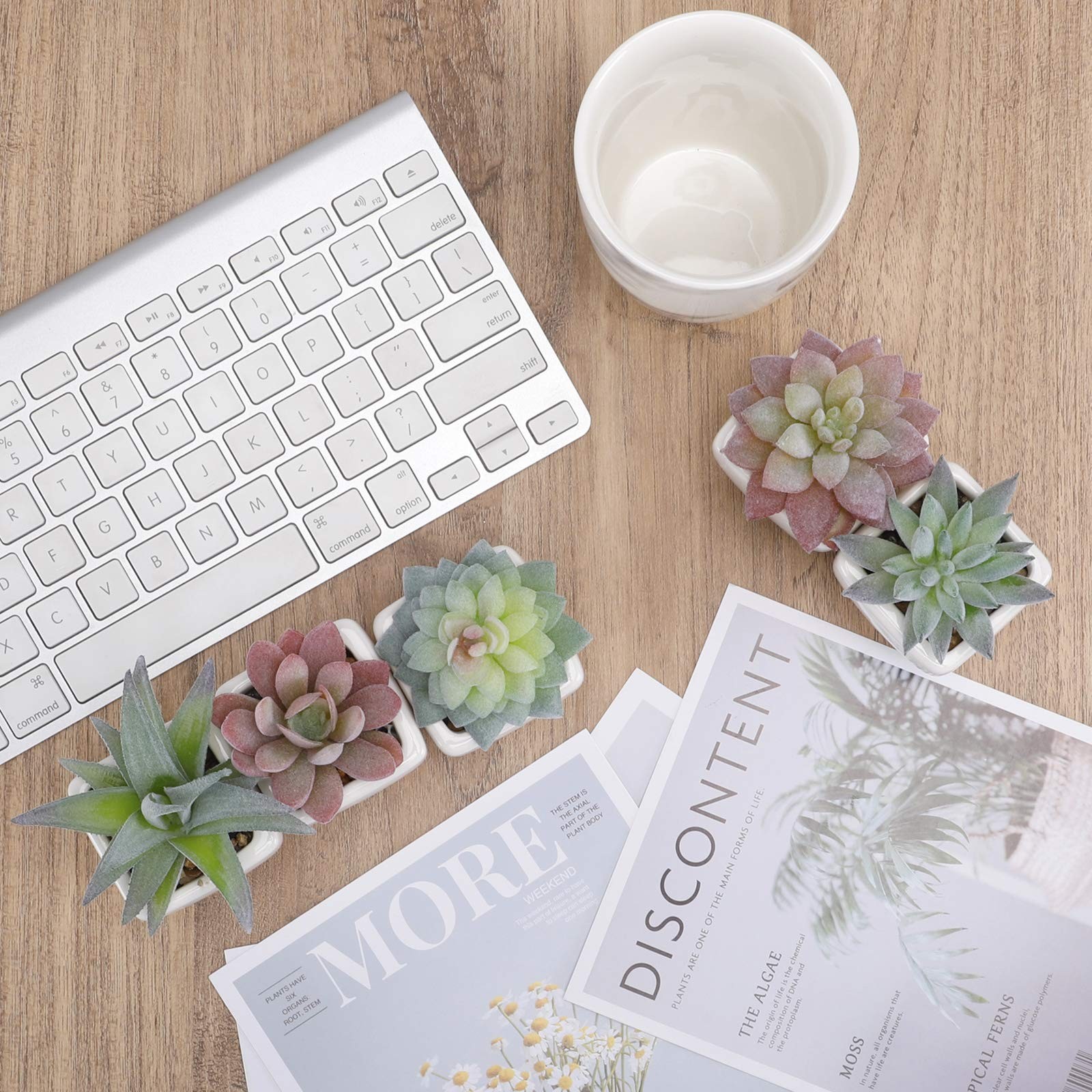 5pcs Artificial Succulent Plants, Small Fake Desk Plants Mini Succulents Indo…