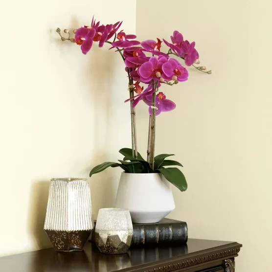 Beaumont Designs 3-stem Artificial Orchid – Pink – 1594010 – 1356615 – 1518077