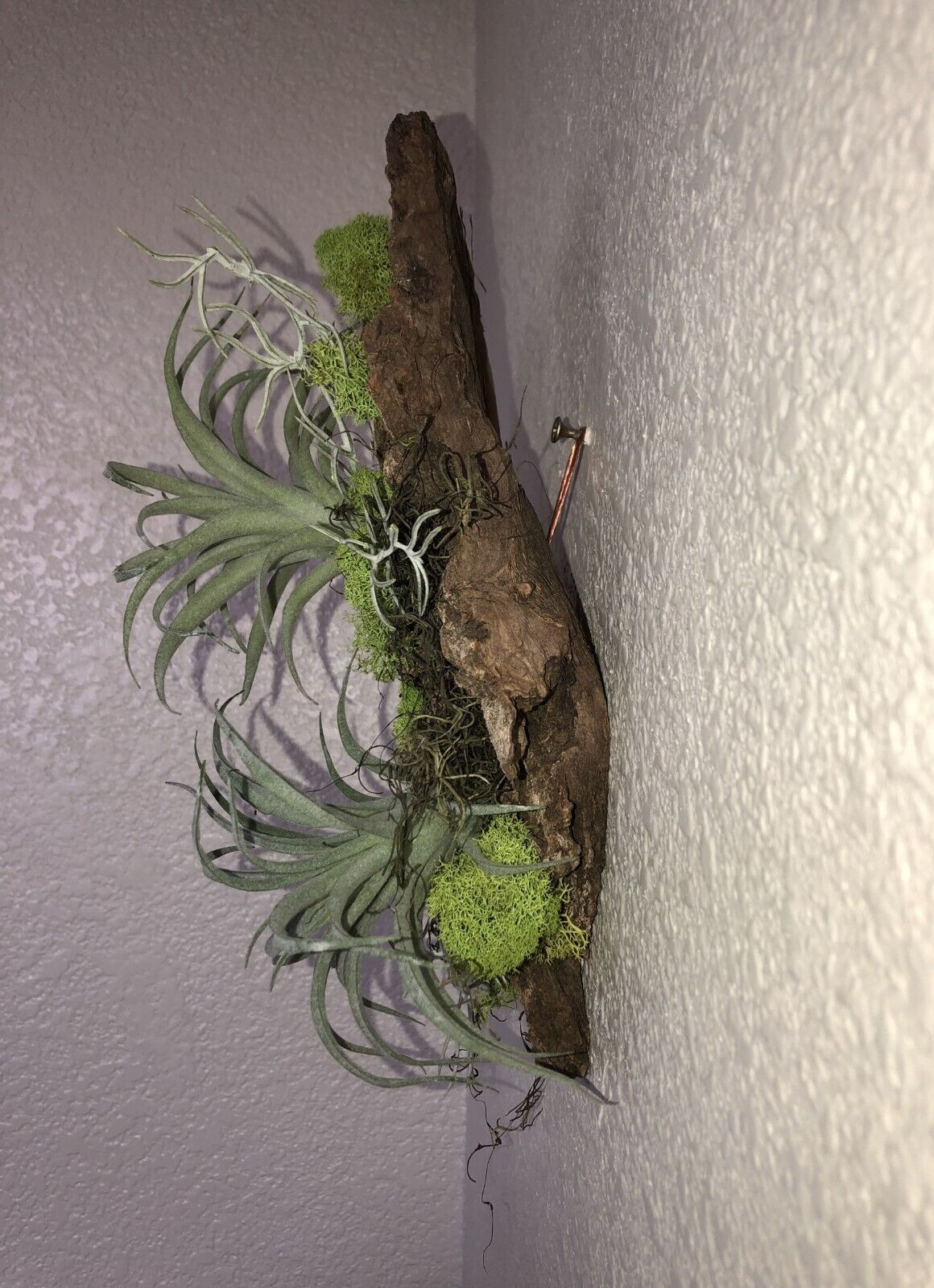 Artificial Succulent Air Plant Wall Art Home Office Mounted on Real Wood Bark