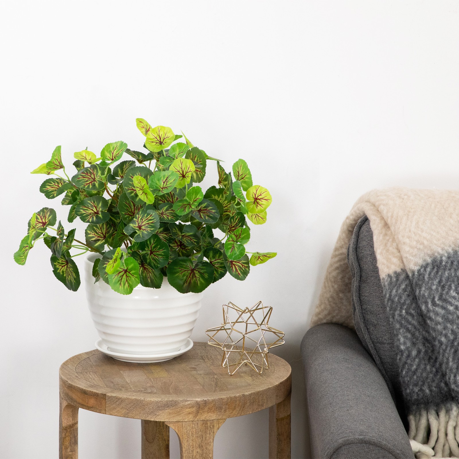Northlight 18.5″ Decorative Artificial Two Tone Green Begonia Spring Floral Bush