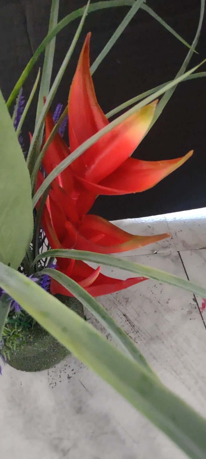 Potted Artificial bird of paradise table decoration, weddings, centerpiece OR