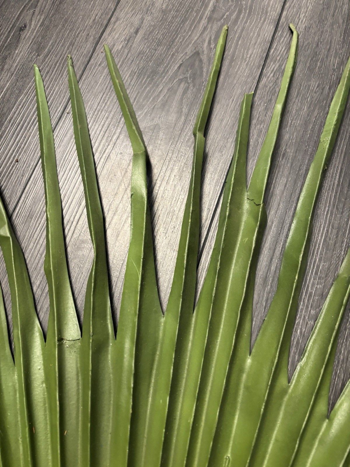 Large Fan Palm Leaf Stem 58” Tropical Boho Coastal Wedding Home Decor Prop