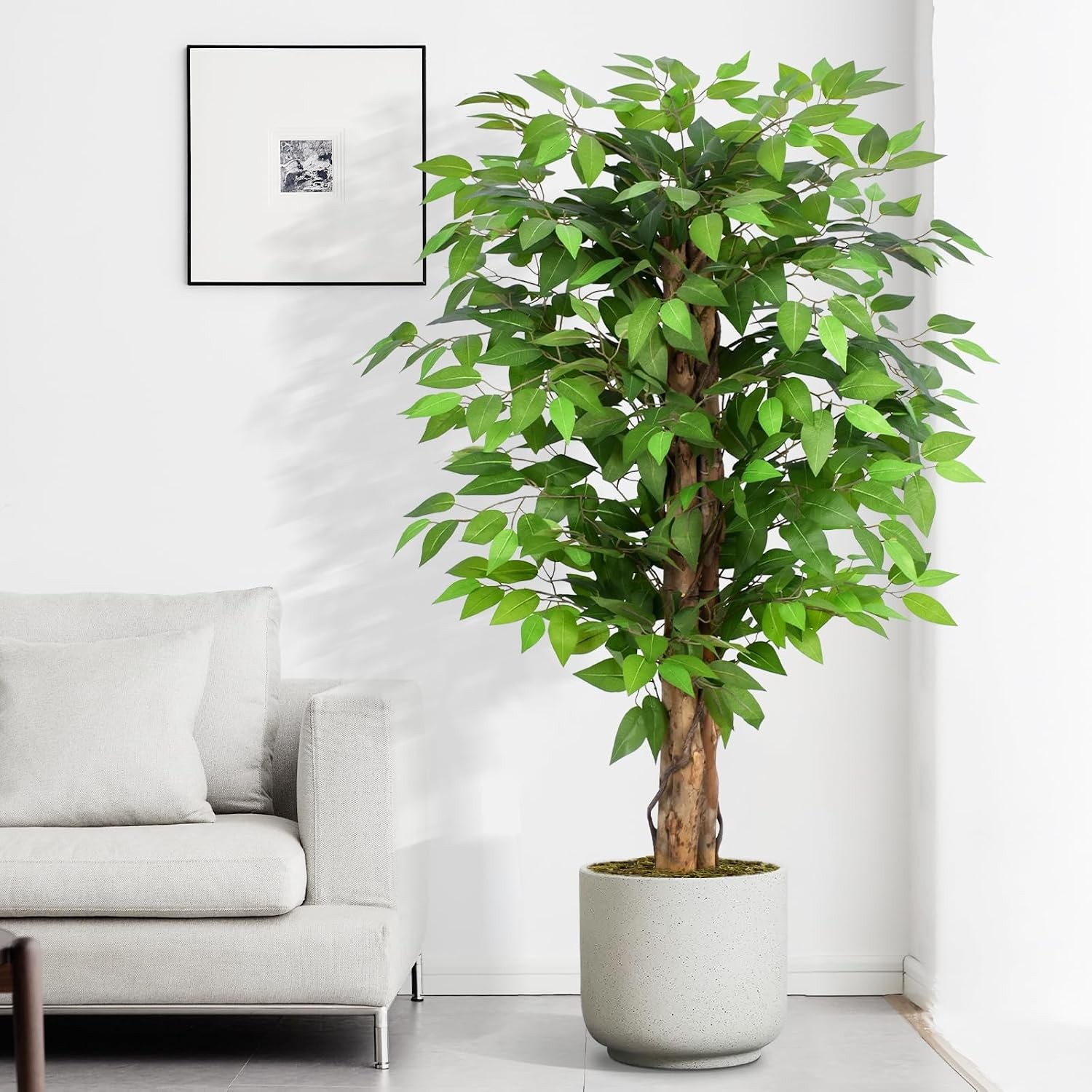 6.2ft Ficus Artificial Trees W/ 3 Natural Curved Trunks 74″ Tall Lush Faux Tree