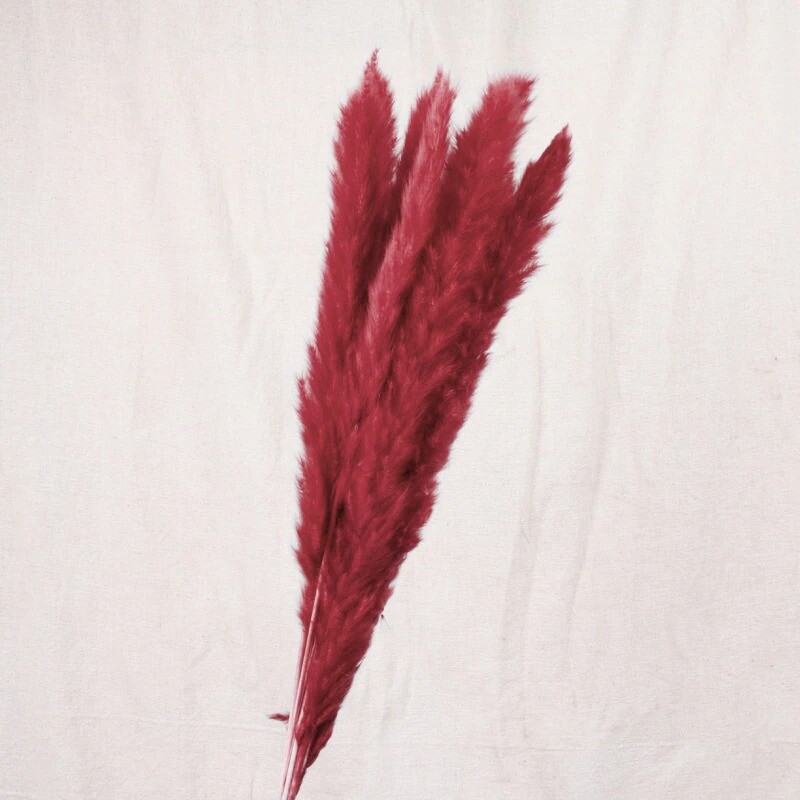 15Pcs Pampas Grass Wedding Home Decor 50cm Stems Real Dry Flower Pantas Dried