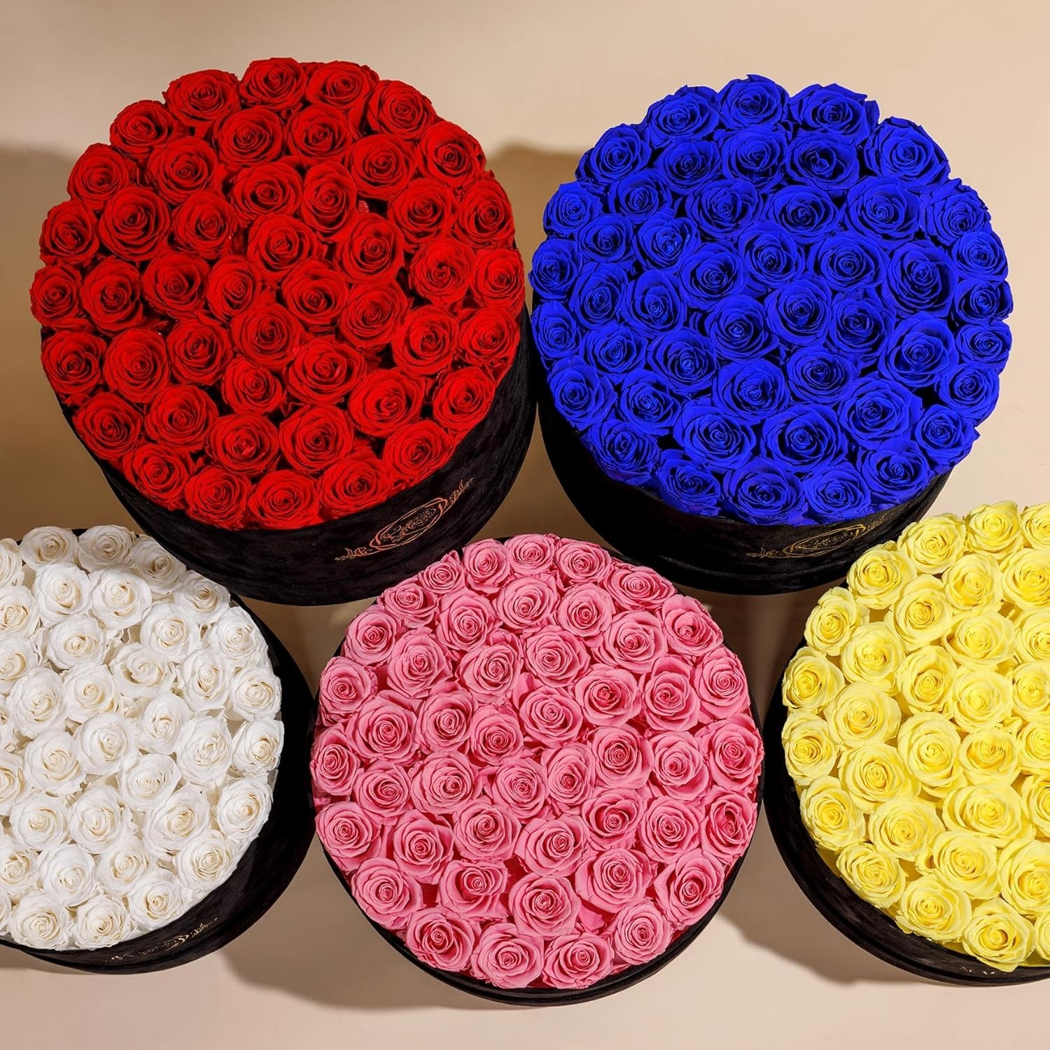 Exquisite 47 Roses in Elegant Suede Box – Anniversary Gift