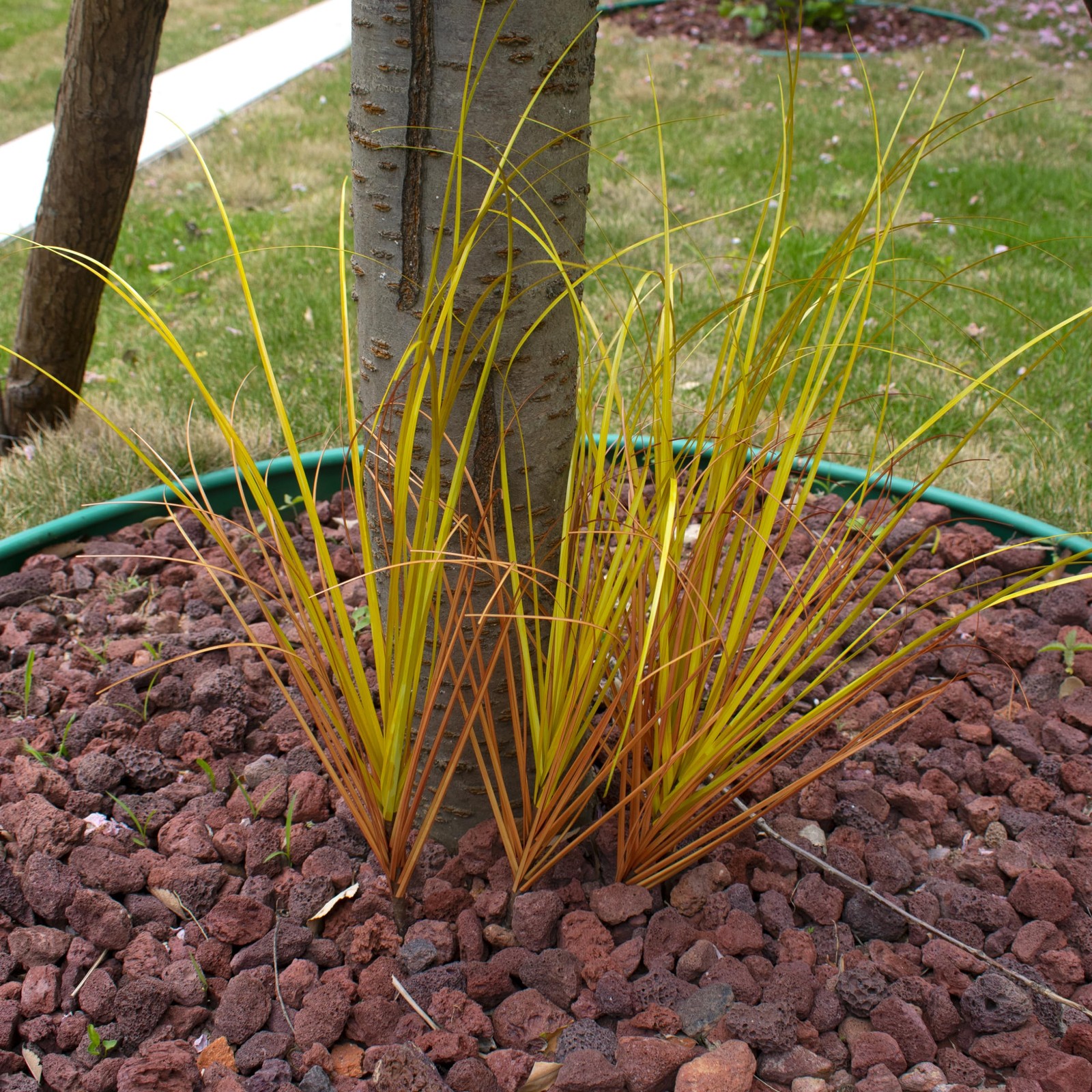 20PCS Artificial Plants Outdoor,Artificial Shrubs Fake Tall Grass,Artificial …