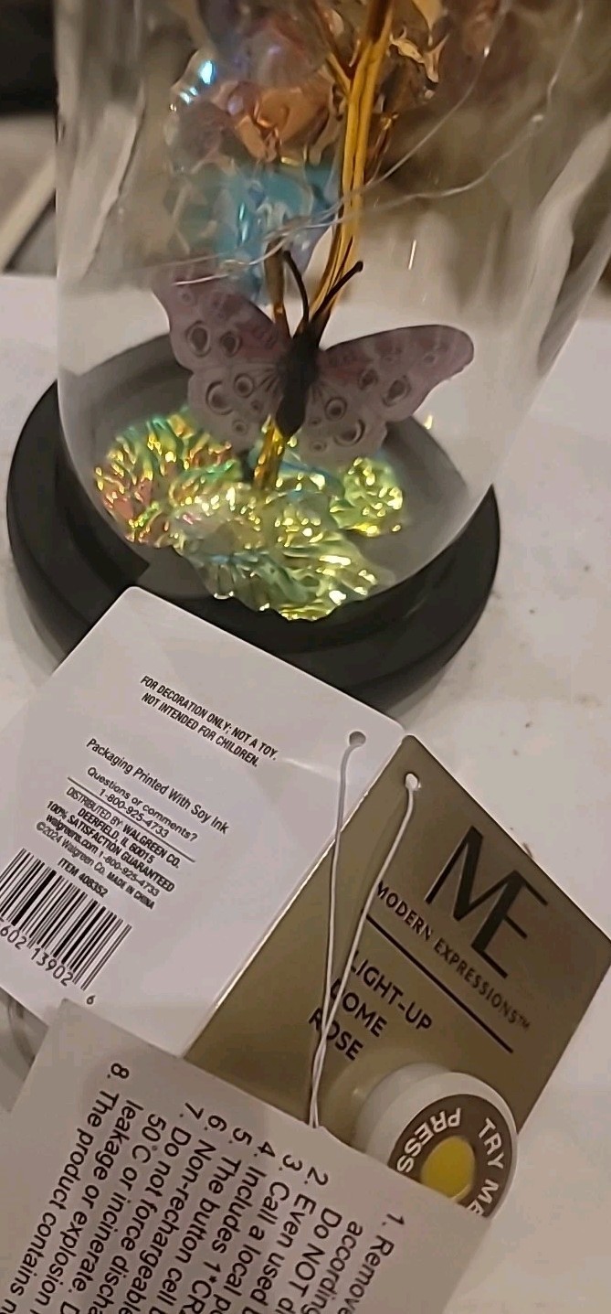 Modern Expressions Light-Up Dome Rose Butterfly Flower LED Walgreens 2024 NWT