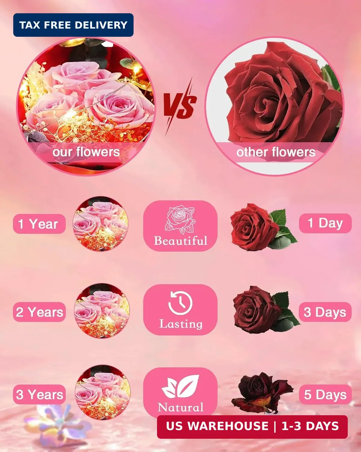 HVY Preserved Flowers in Glass for Her,Pink Real Rose Bouquet with LED Light,Ete