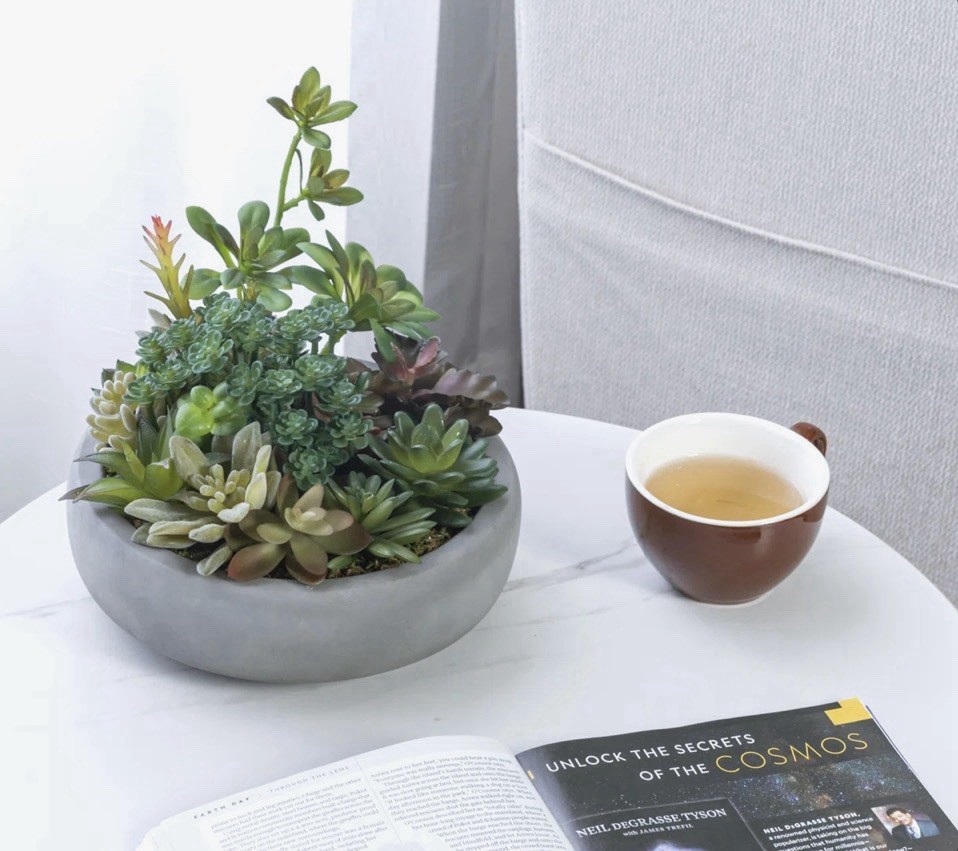 Primrue Benita 7″ Faux Succulent Plant in Cement Pot