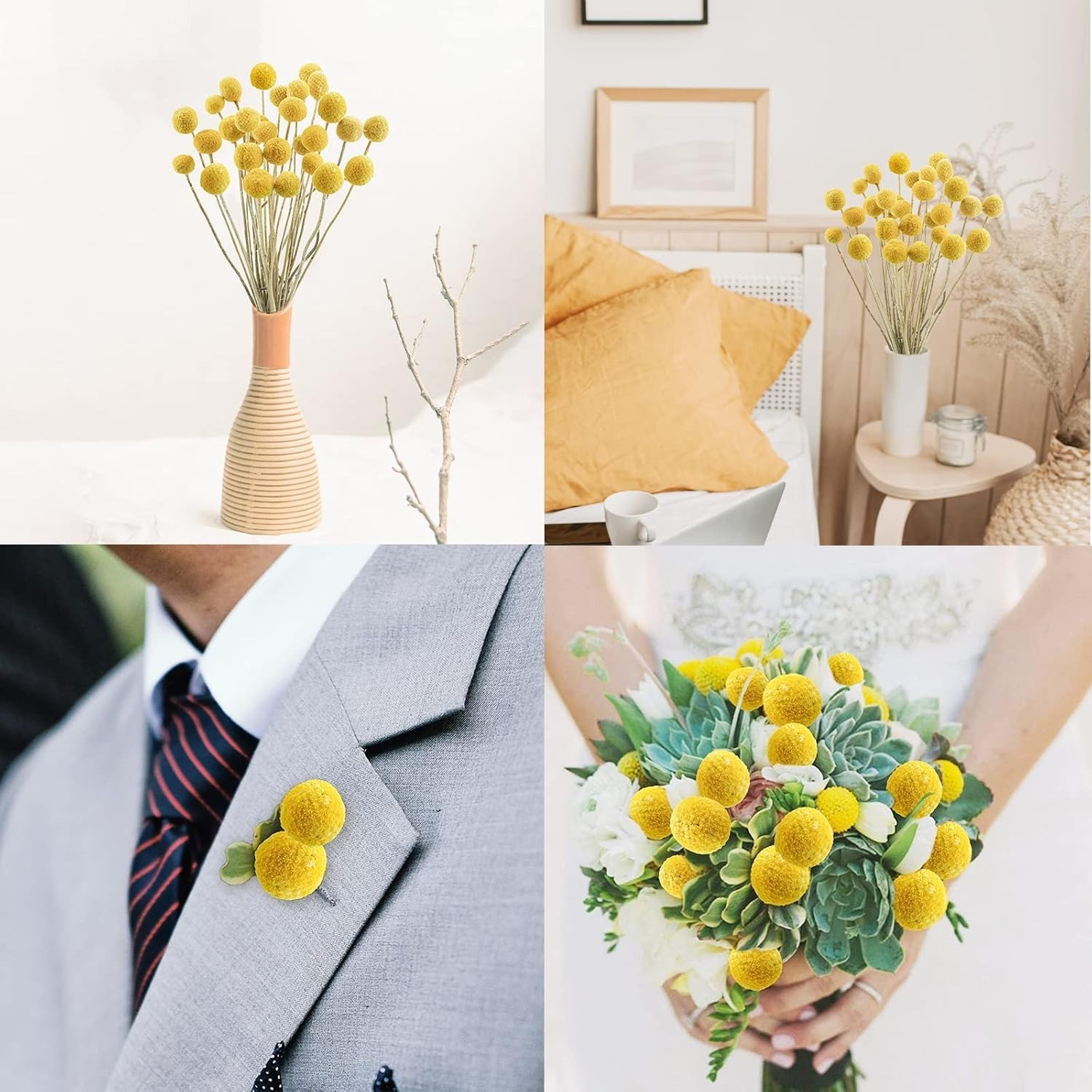 30Pcs Natural Dried Flowers Dried Craspedia Billy Balls Flowers Billy Buttons…