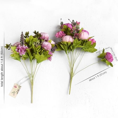 Soft Peach Pink and Magenta Celestial Beauty (Soft Peach Pink and Magenta Red)