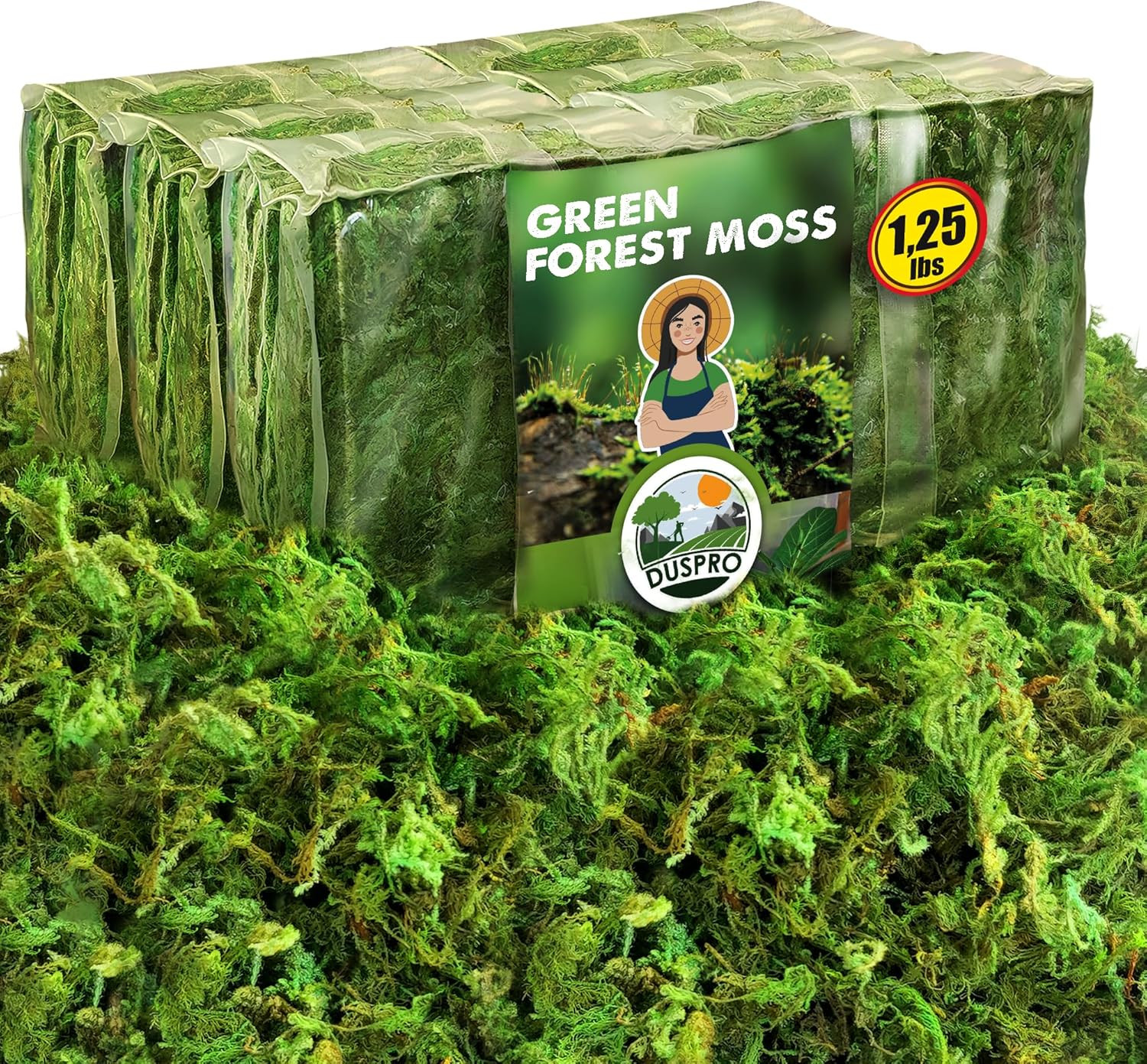 [Upgraded] Green Moss for Crafts, Real Forest Moss Potted Plants, Decorative Mo