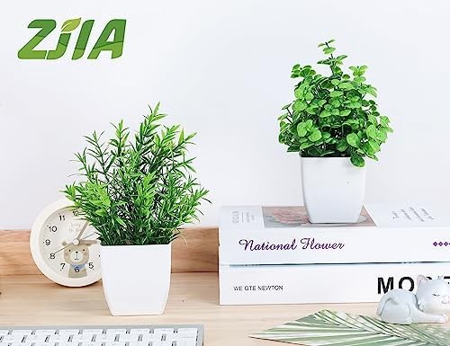 2 Pack Fake Plants Small Artificial Greenery Faux Plants Indoor for Home Farmhou