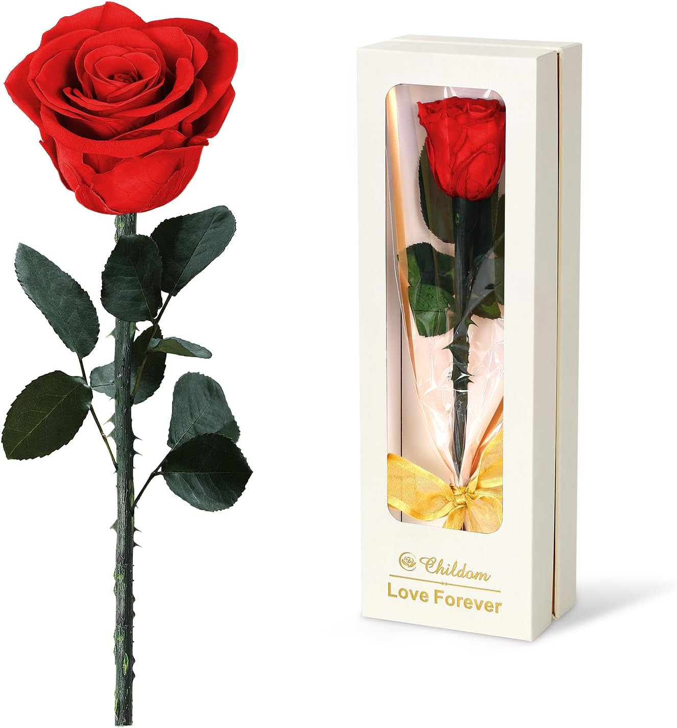Forever Preserved Red Rose Gift for Mom Wife Girlfriend Valentine’s Birthday