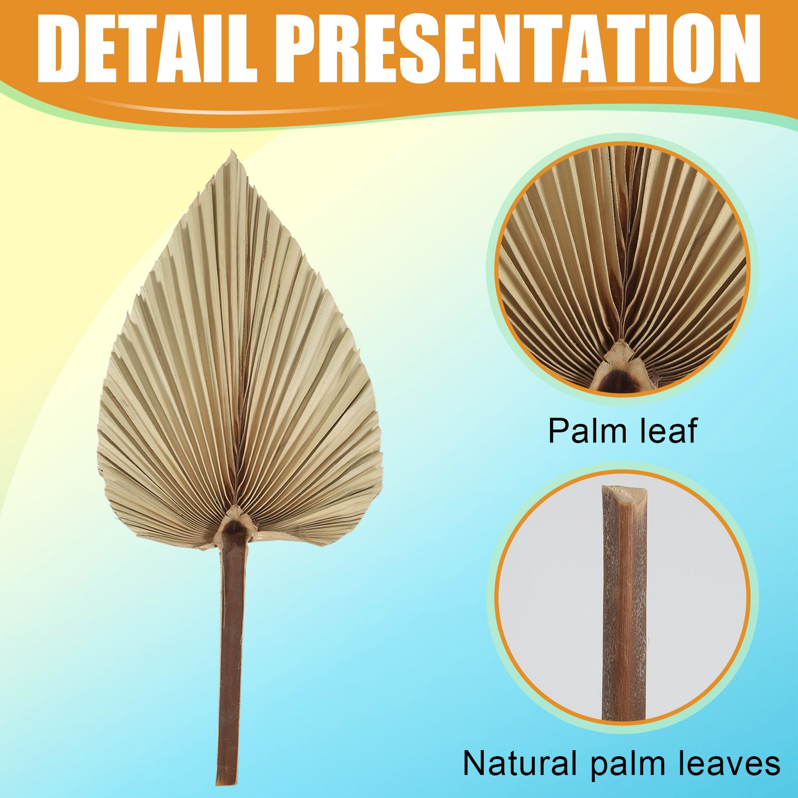 5Pcs Natural Dried Palm Leaves Tropical Dried Palm Fans Boho Dry Leaves5066