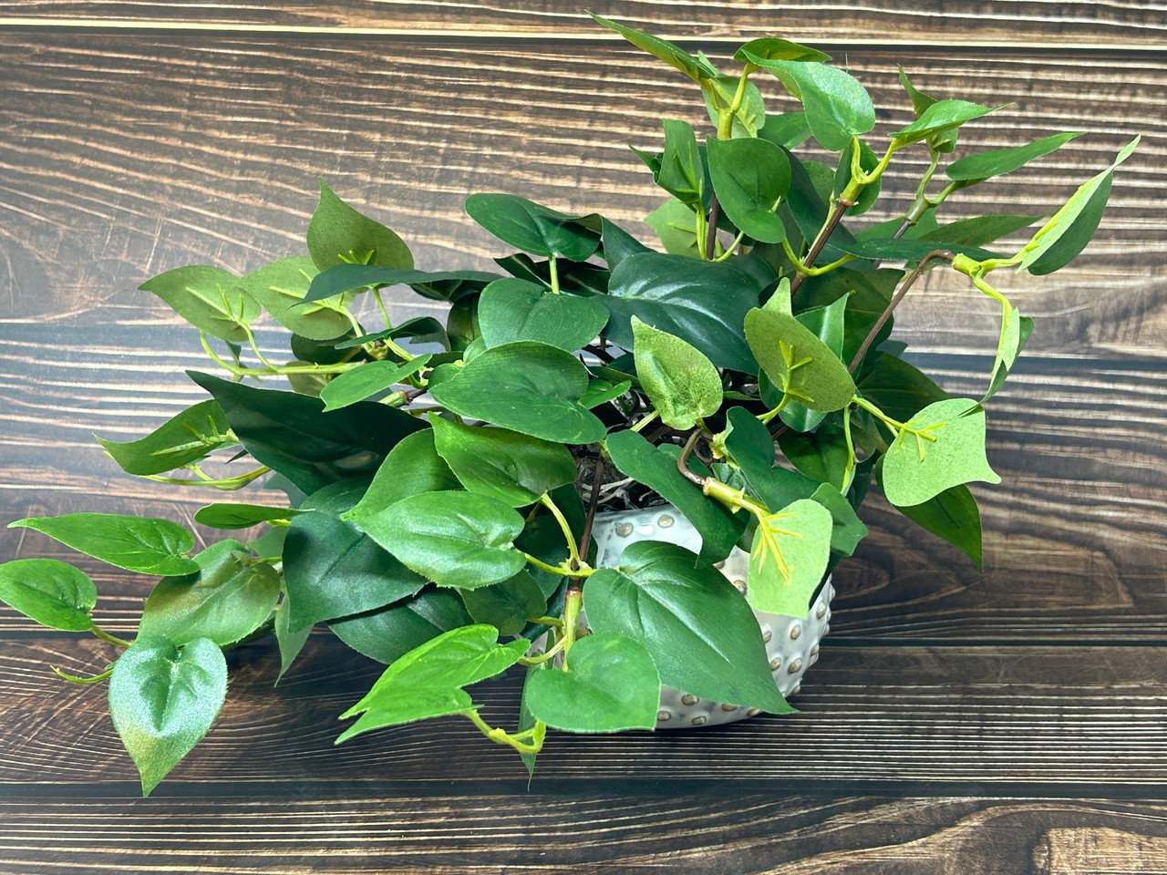 8″ Potted faux GREEN POTHOS Vine Silk plant, Cream Dot Ceramic pot