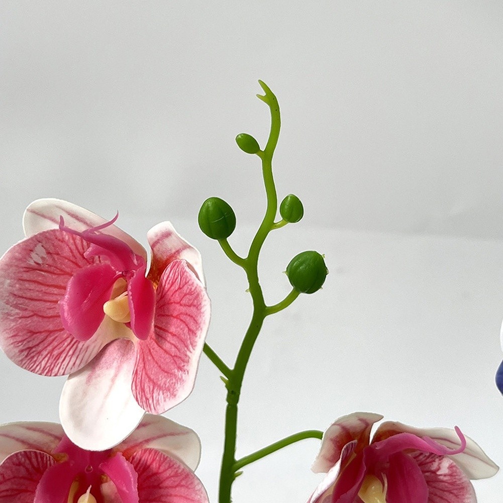 Artificial Phalaenopsis Orchid in White Square Pot for Home Office Decor