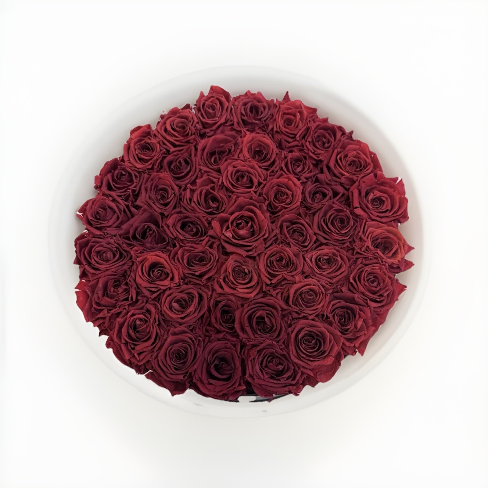 Venus et Fleur Red Roses Flower Box Arrangement Large Black Container 45 Roses