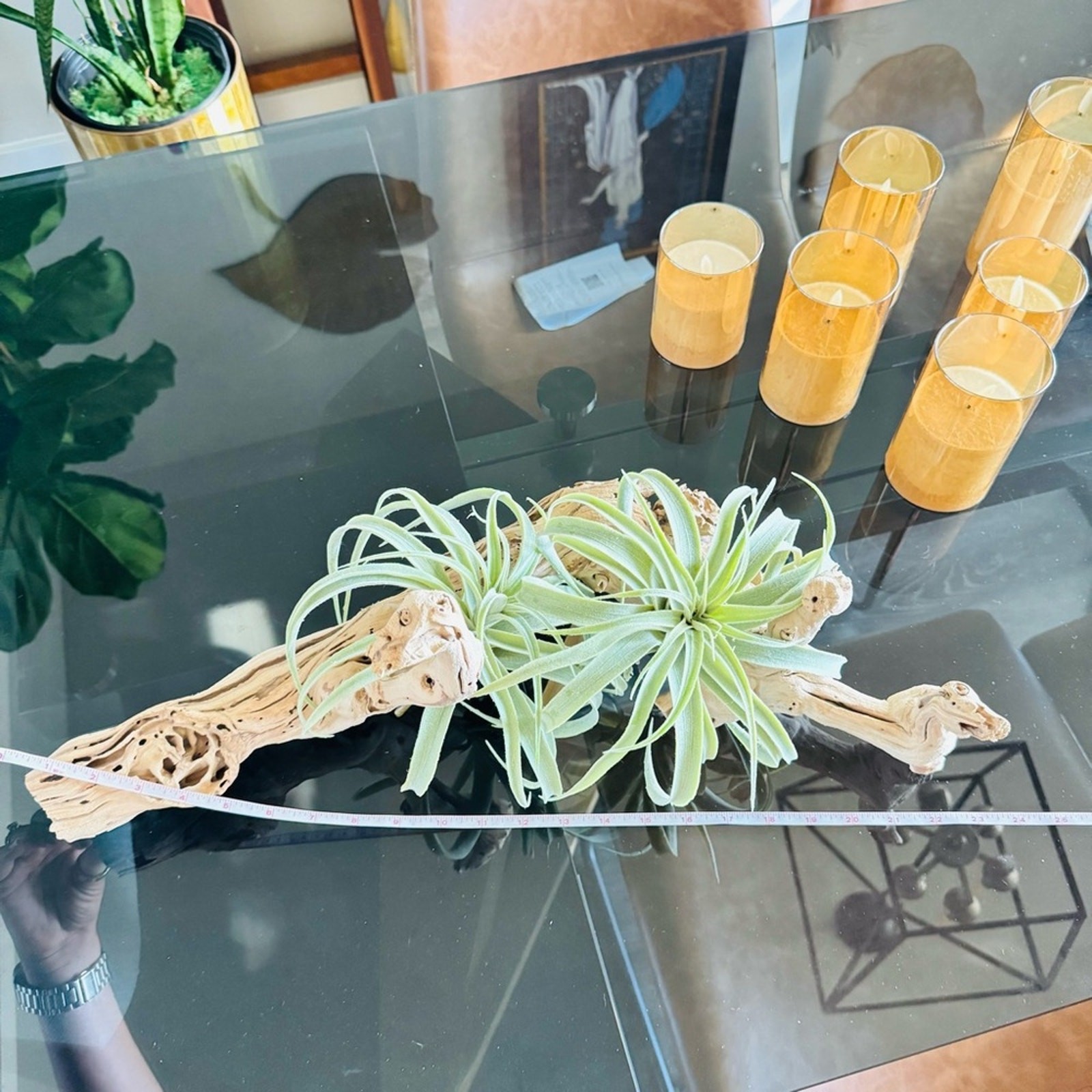 NEW POTTERY BARN Soft Mint Green Faux Air Plant Tillandsia Table Decor Display