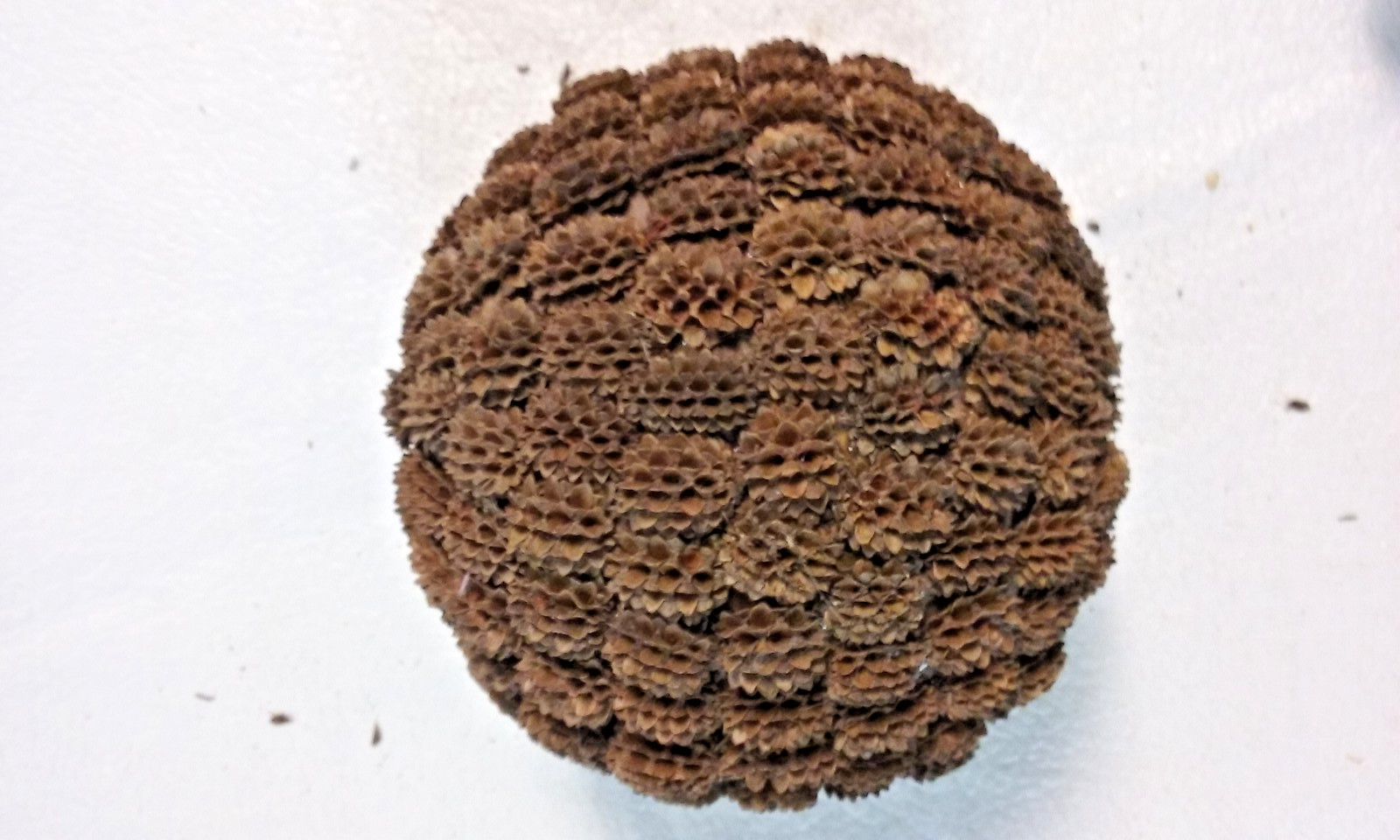 3 Brown Seed Pod Mosaic Decorative Ball Ornaments 5″ to 6″ & 4″ to 5″ wide