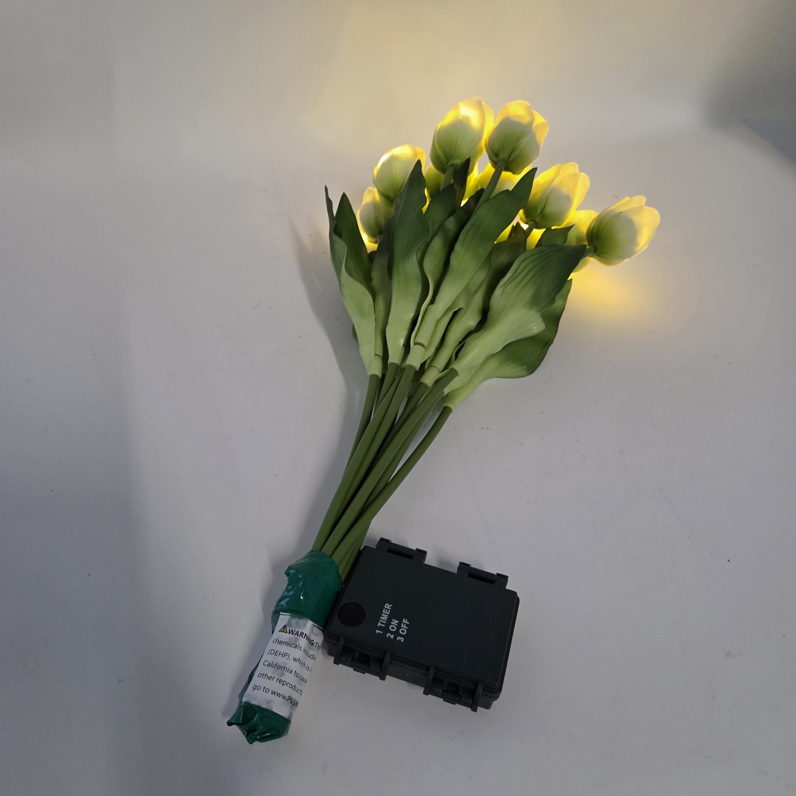 Illuminated Flowers Tulips Bundle Battery Operated Barbara King