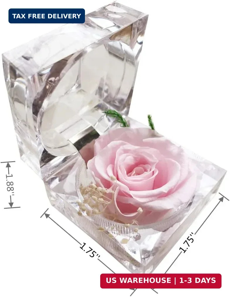 Preserved Rose Real Forever Rose in Mini Clear Ring Box, Eternal Flower Rose Gif