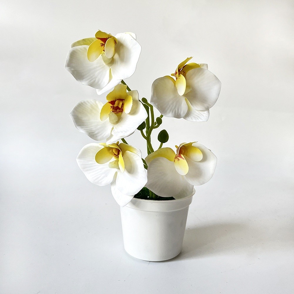Artificial Orchid Flowers 5 Pcs 21cm Tall for Living Room Bedroom Office Decor