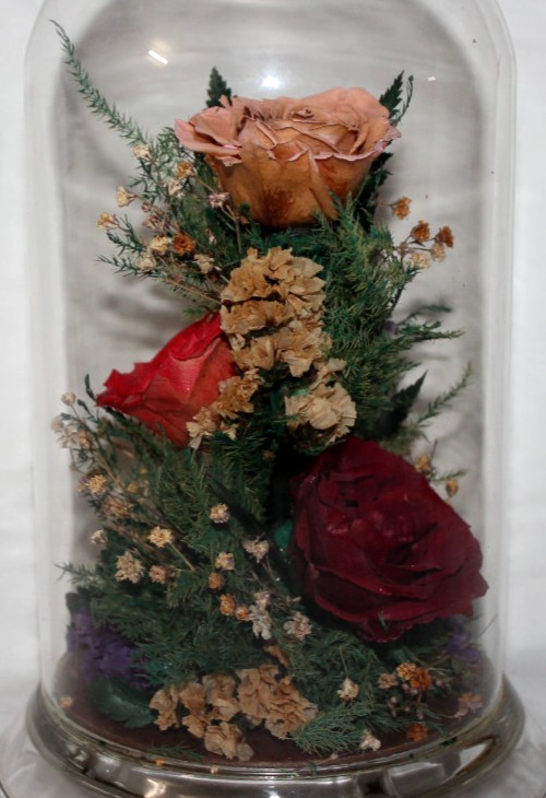 Natural Expressions – Real Freeze-Dried Rose Floral Arrangement in 8″ Glass Dome