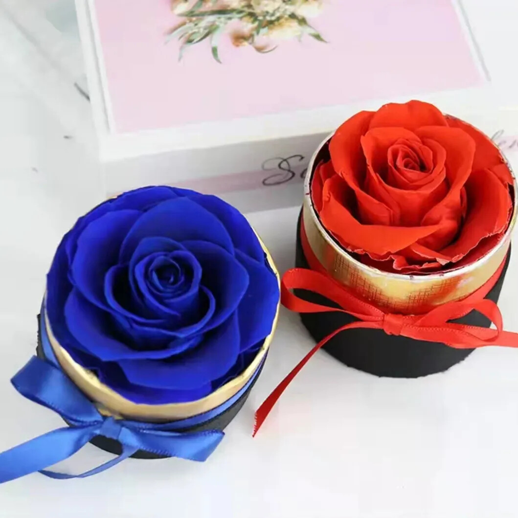 Preserved Rose Box – Everlasting Fresh Flower Gift
