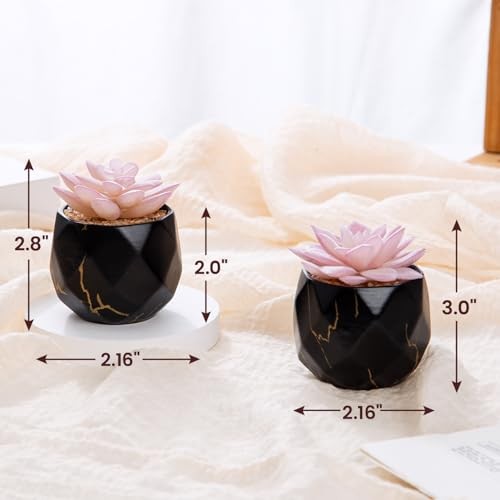 Artificial Succulent Plants in 2 Ceramic Pots, Cute Fake Plants for Black