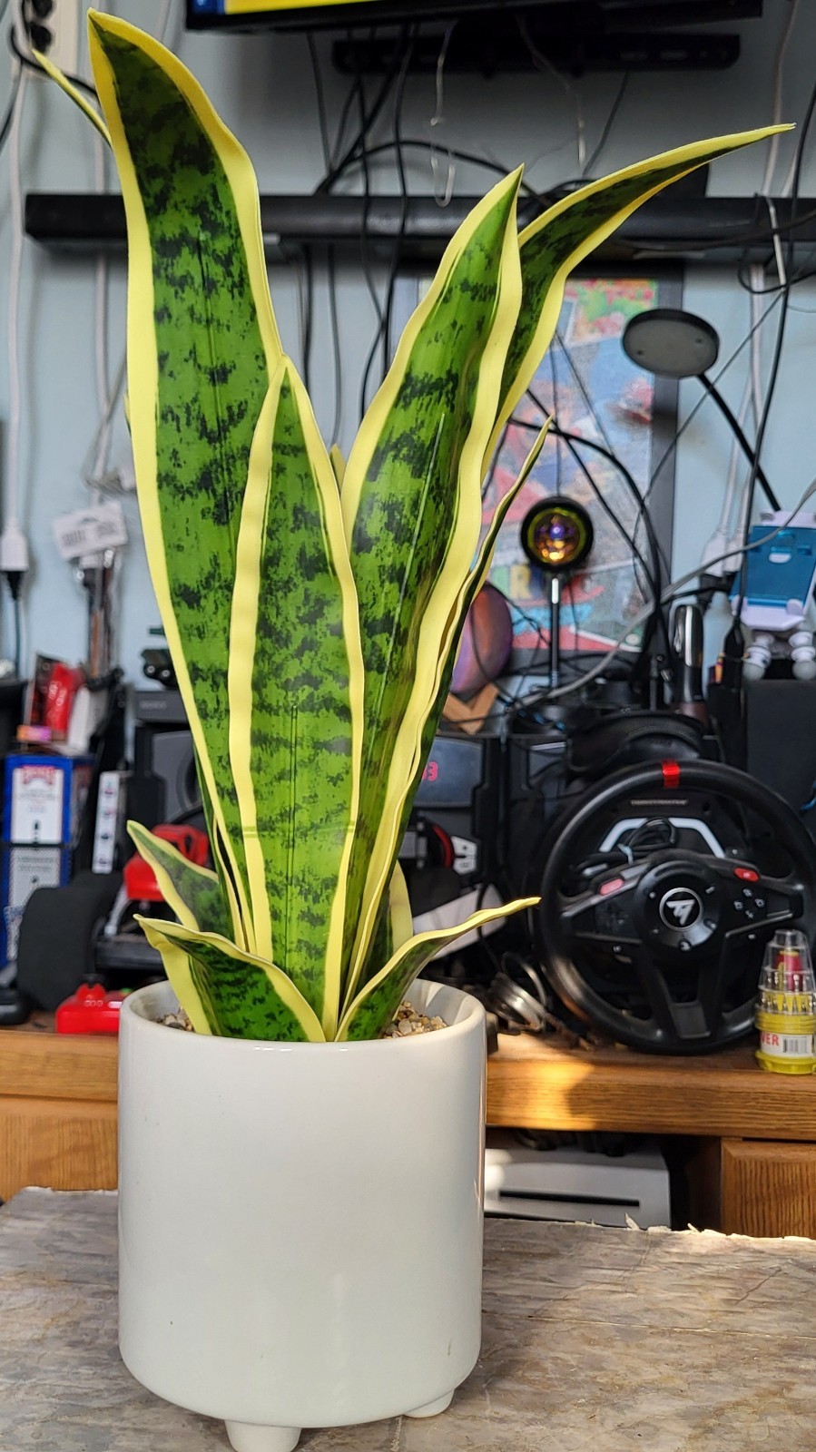 Artificial Snake Plant Potted, Sansevieria (Real Looking) 20″ Tall Porcelain Pot
