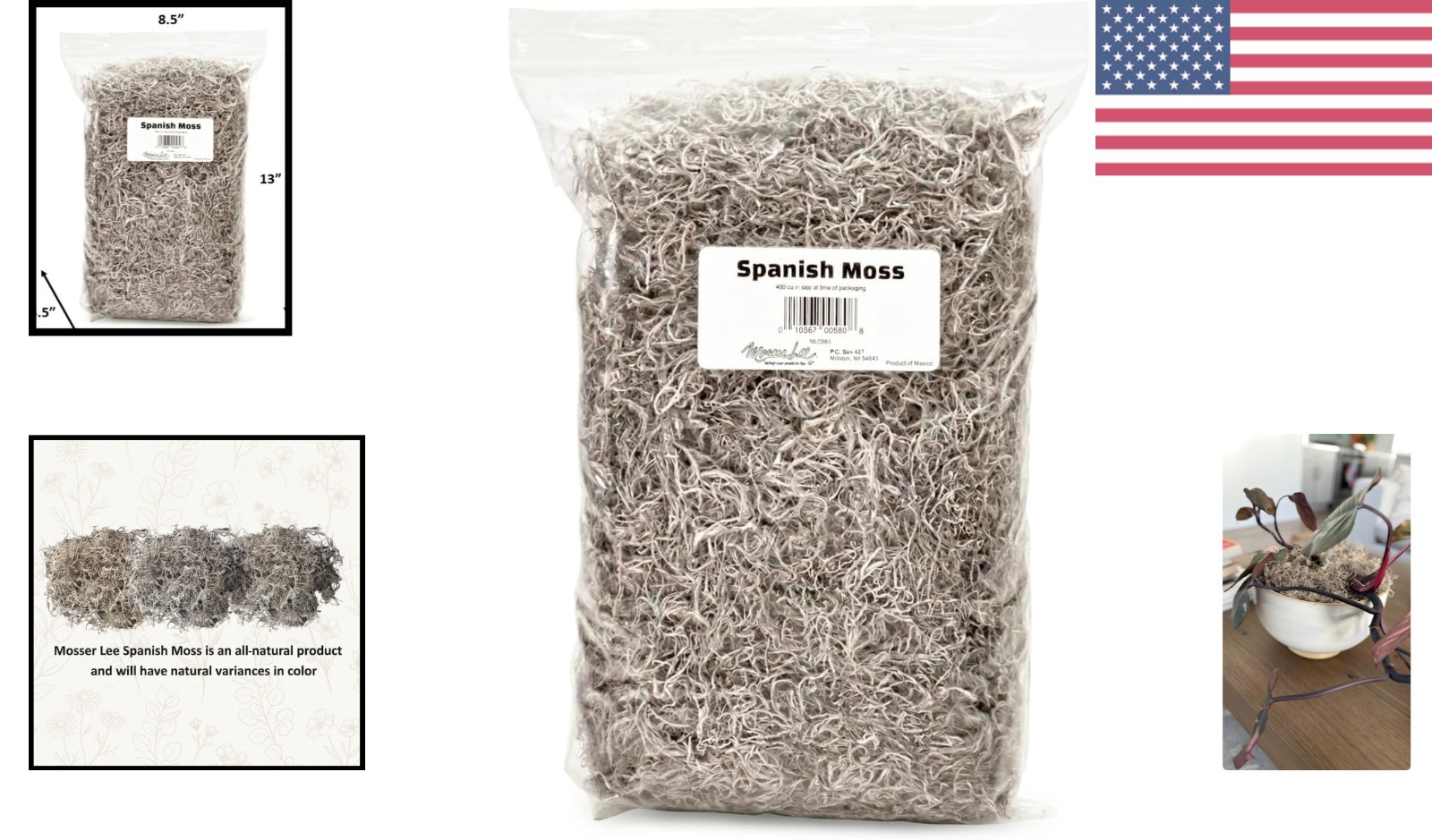 Rustic & Organic Spanish Moss for Houseplants, Crafts & Floral Arrangements
