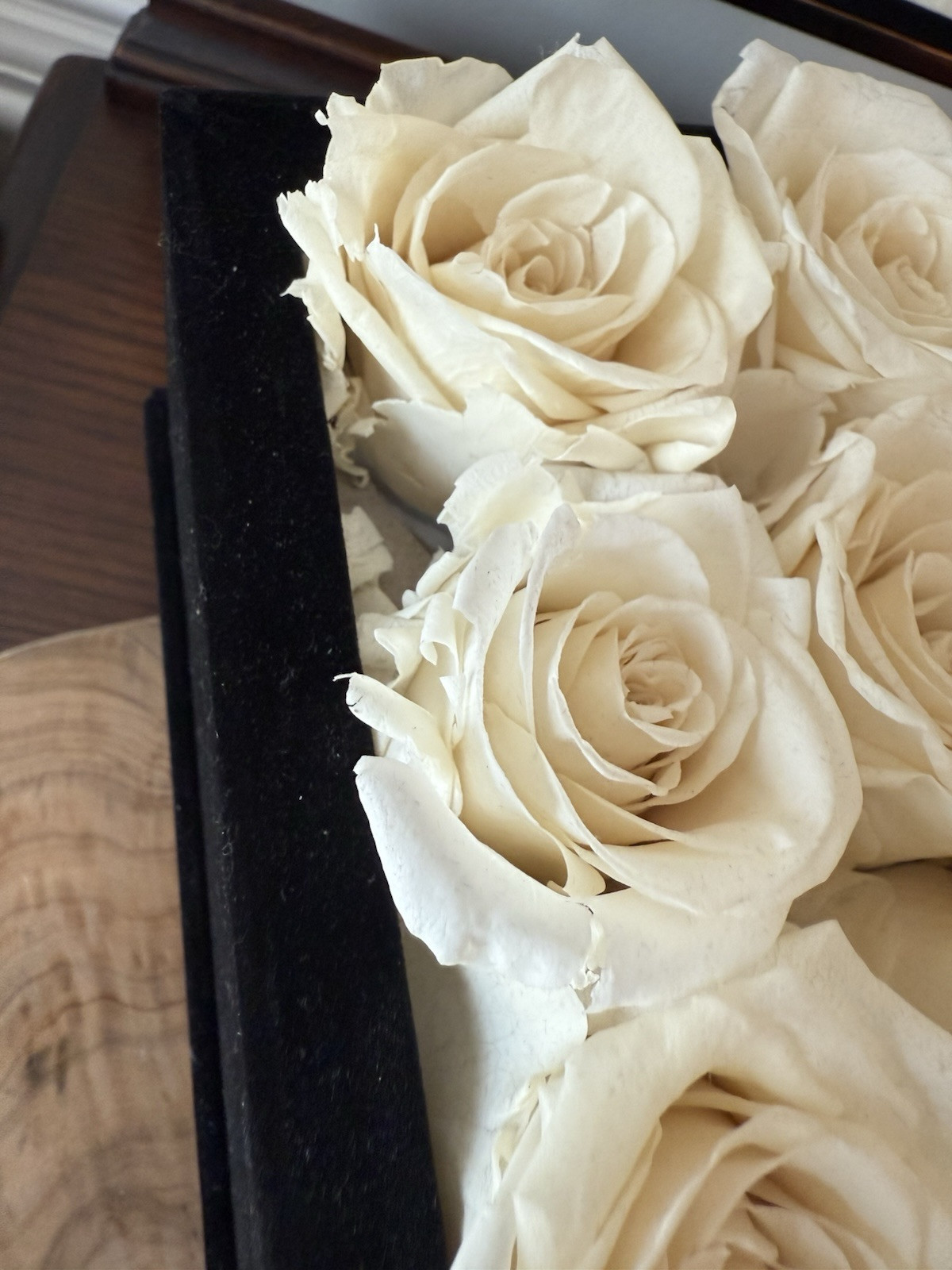 Rose Forever New York Real Preserved 16 White Roses Rose Black Velvet Square Box