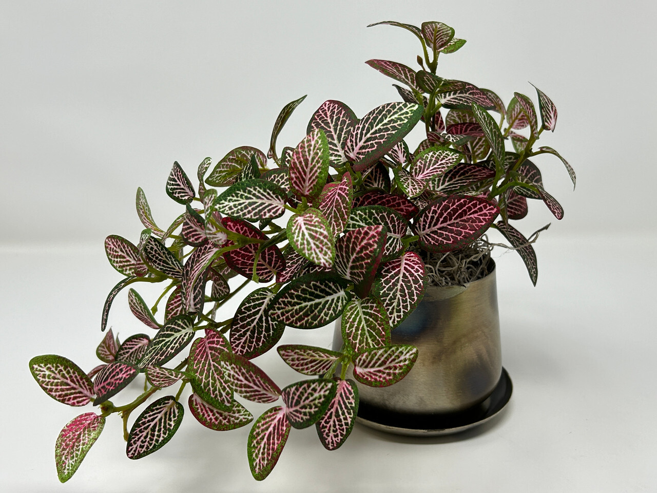 9″ Small Artificial PINK FITTONIA NERVE faux Silk plant in Silver Metal 3.5″ Pot